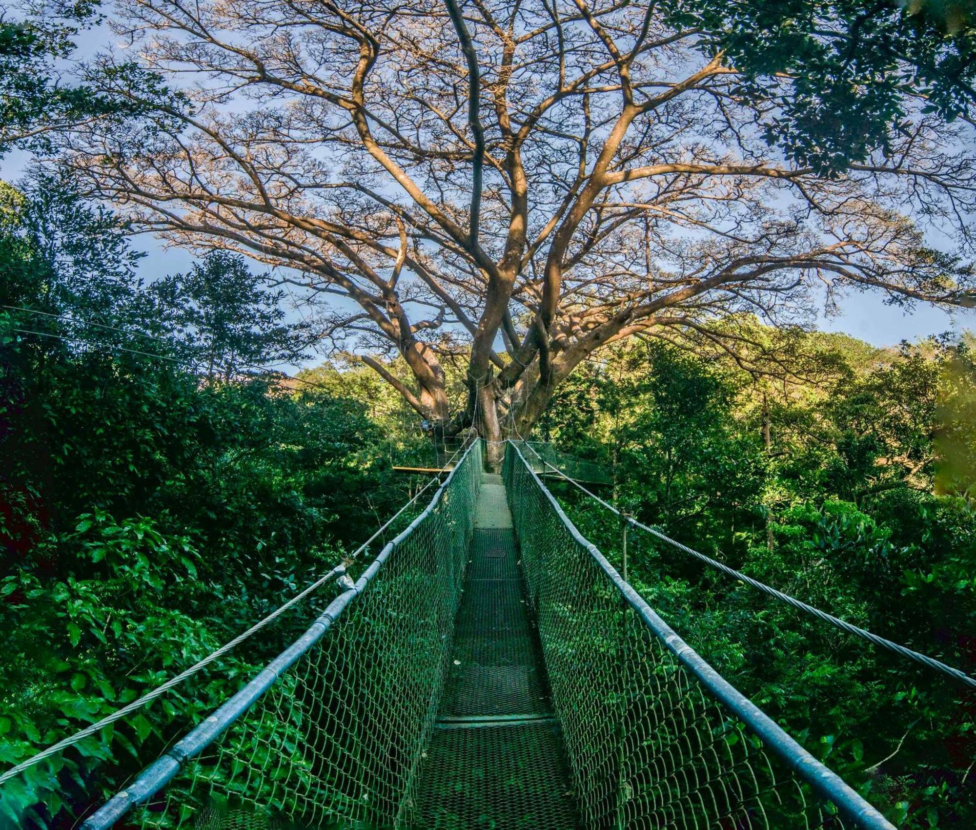 Buena Vista Del Rincon Eco Adventure Park Hotel & Spa ลิเบเรีย ภายนอก รูปภาพ