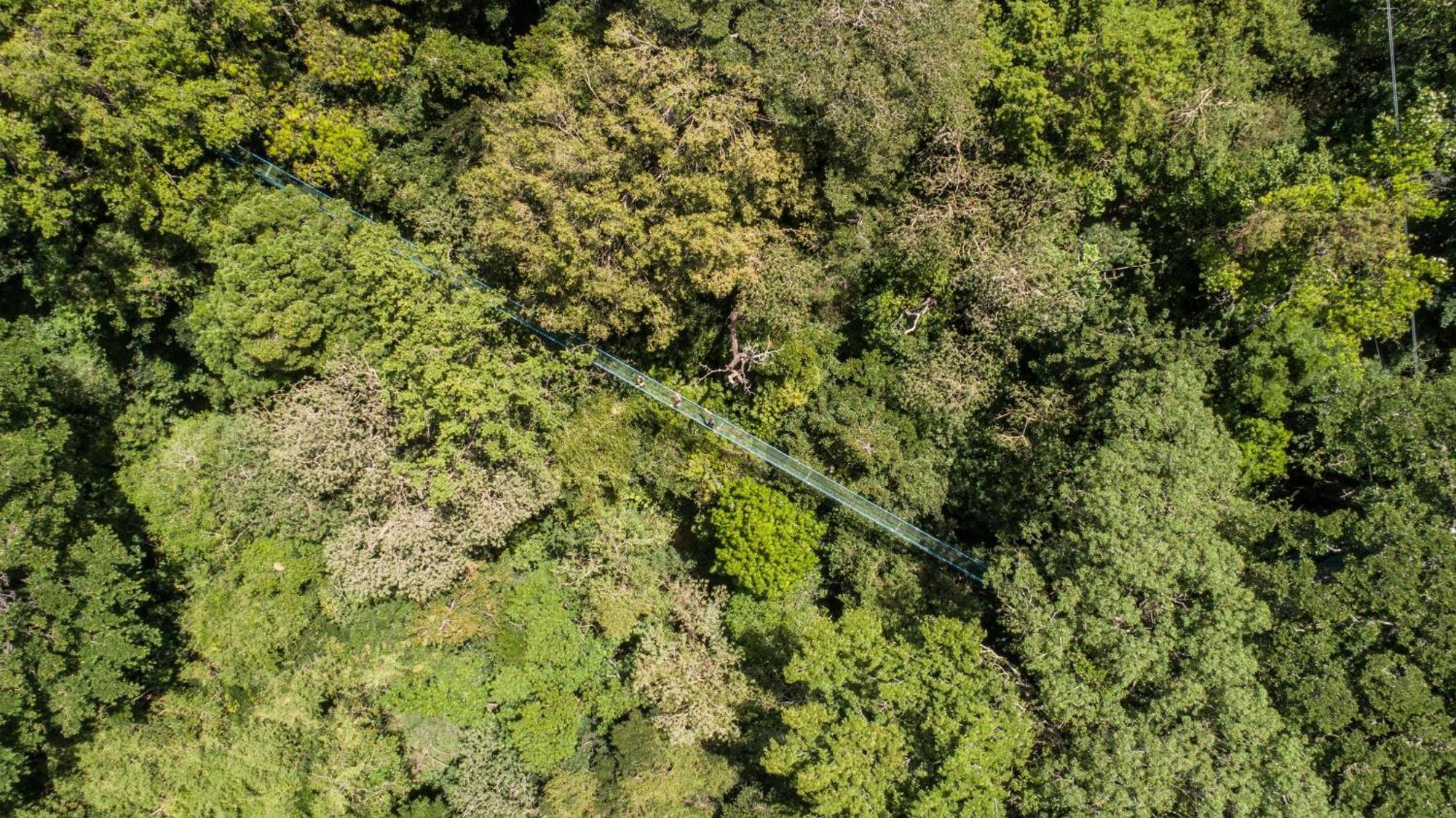 Buena Vista Del Rincon Eco Adventure Park Hotel & Spa ลิเบเรีย ภายนอก รูปภาพ